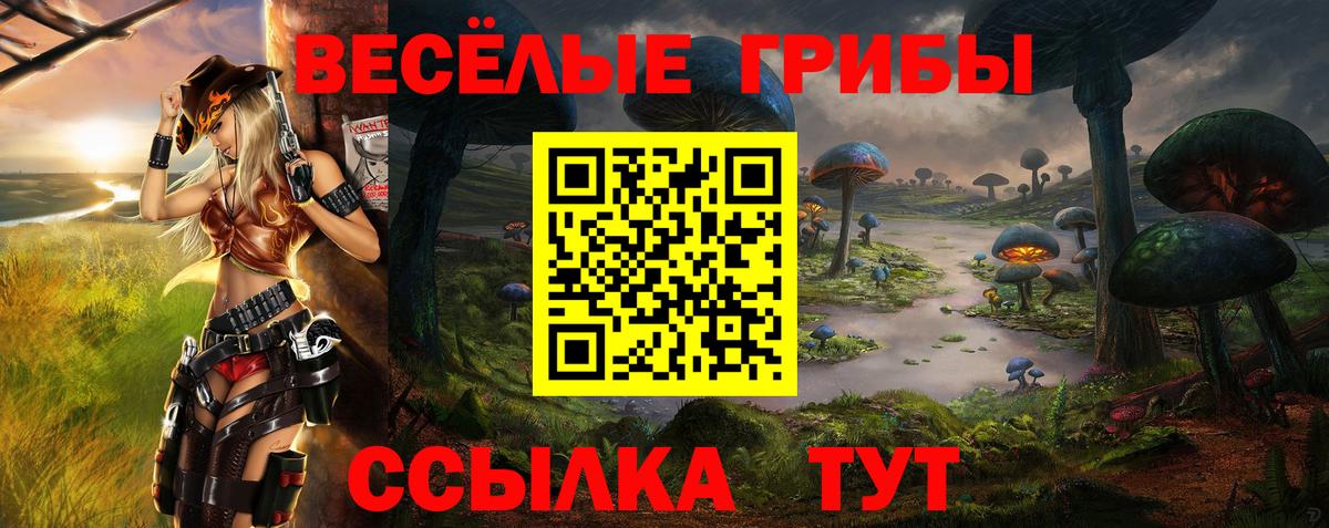купить  цена  Галлюциногенные грибы Psilocybe  Галлюциногенные грибы мицелий  Вход с VPN  Нерюнгри 